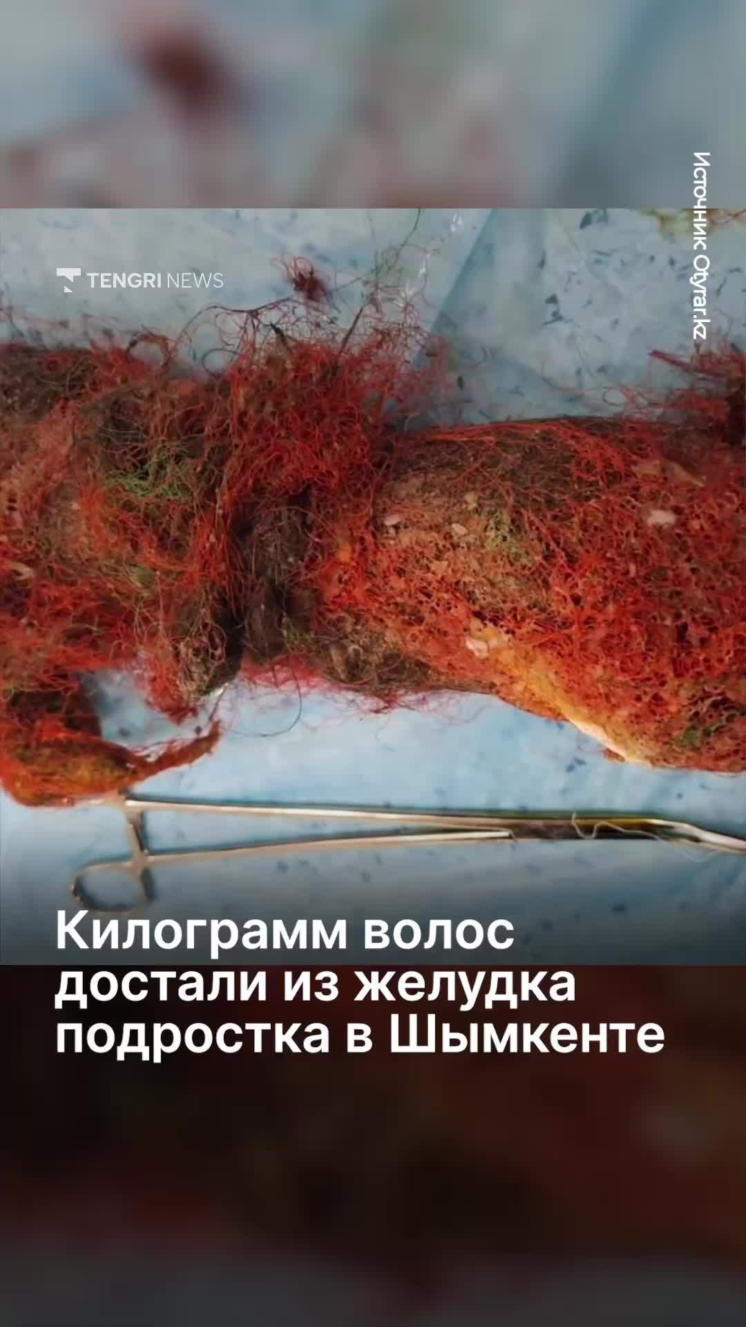 @Tengrinews.kz