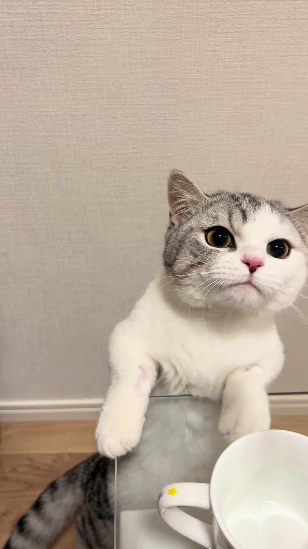@短足マンチのえる♂