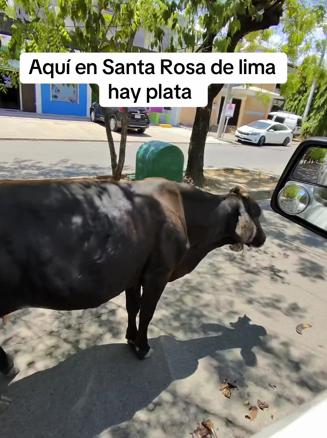 @El manager🥷