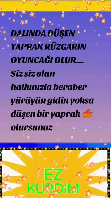 @imdat doğan