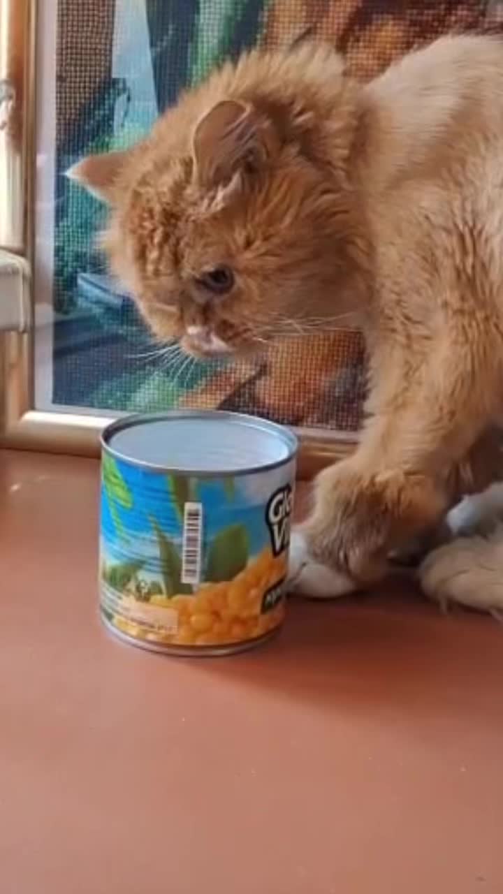 @Александр