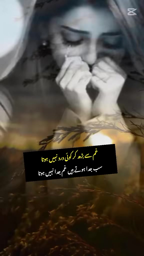 @Arzoo Khan