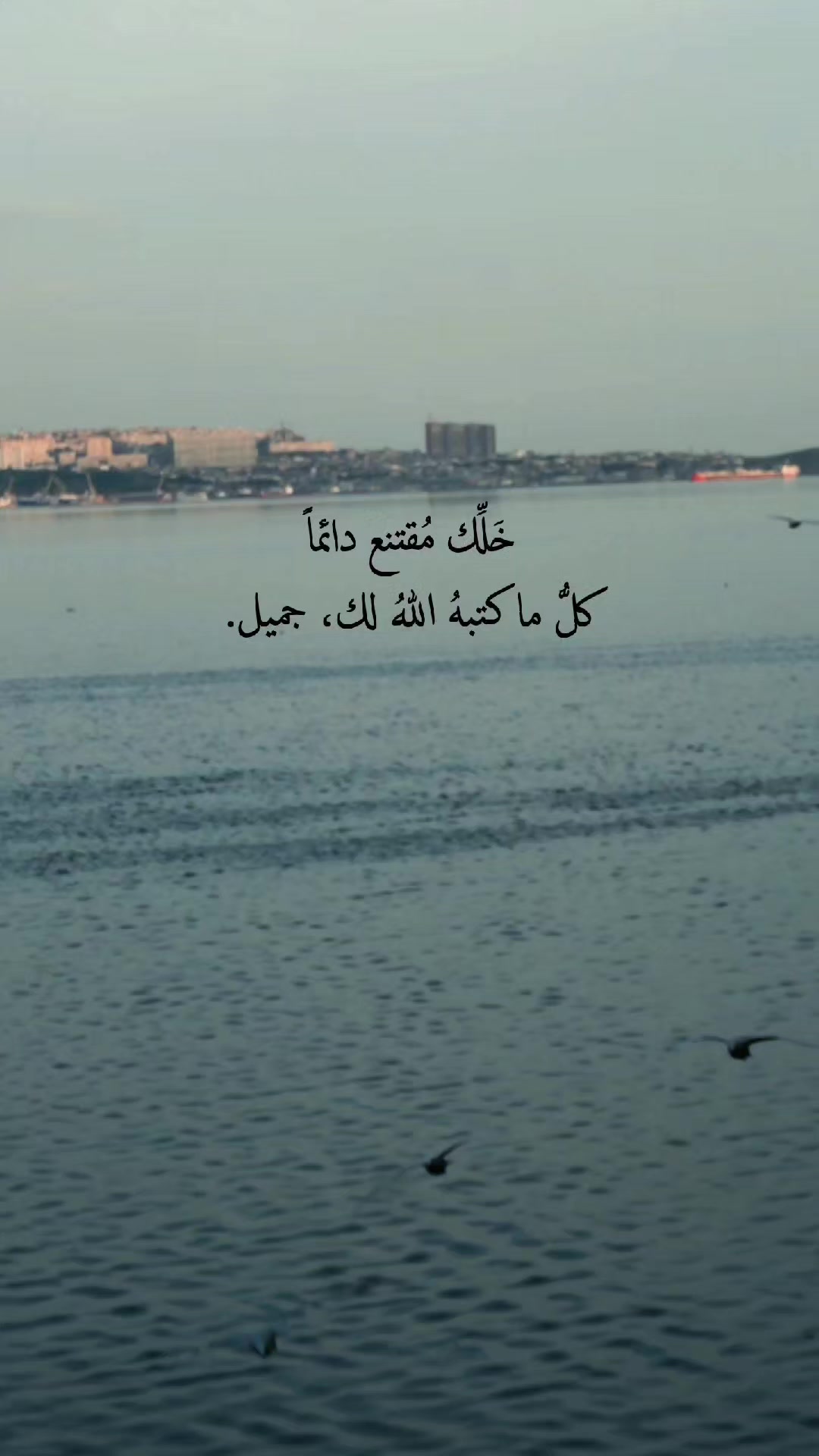 @حيدر الوائلي