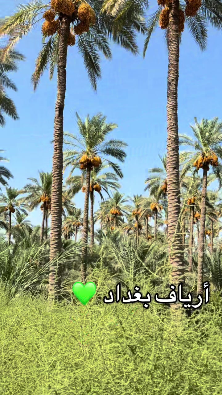 @Asmaa