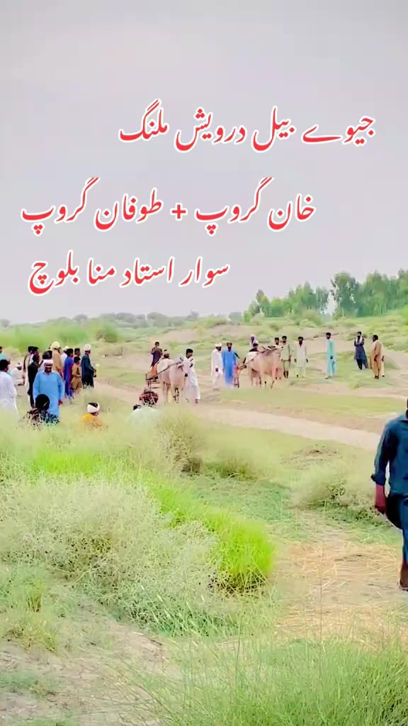 @چوہدری شاہد سلیم مڑل