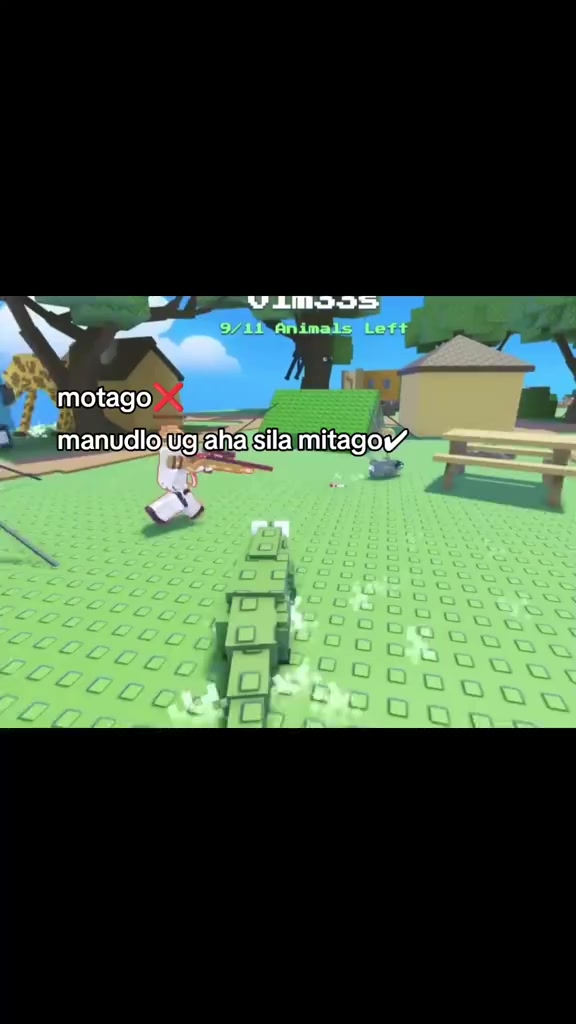 @ayksel