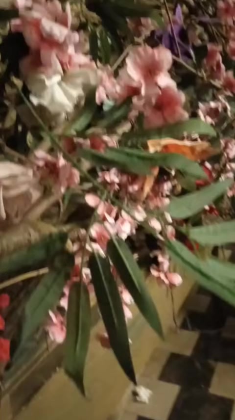 @๐ฆ๐ด๐
๐ท๐ท๐ฐ๐ฐ๐
๐
๐
๐ฆ