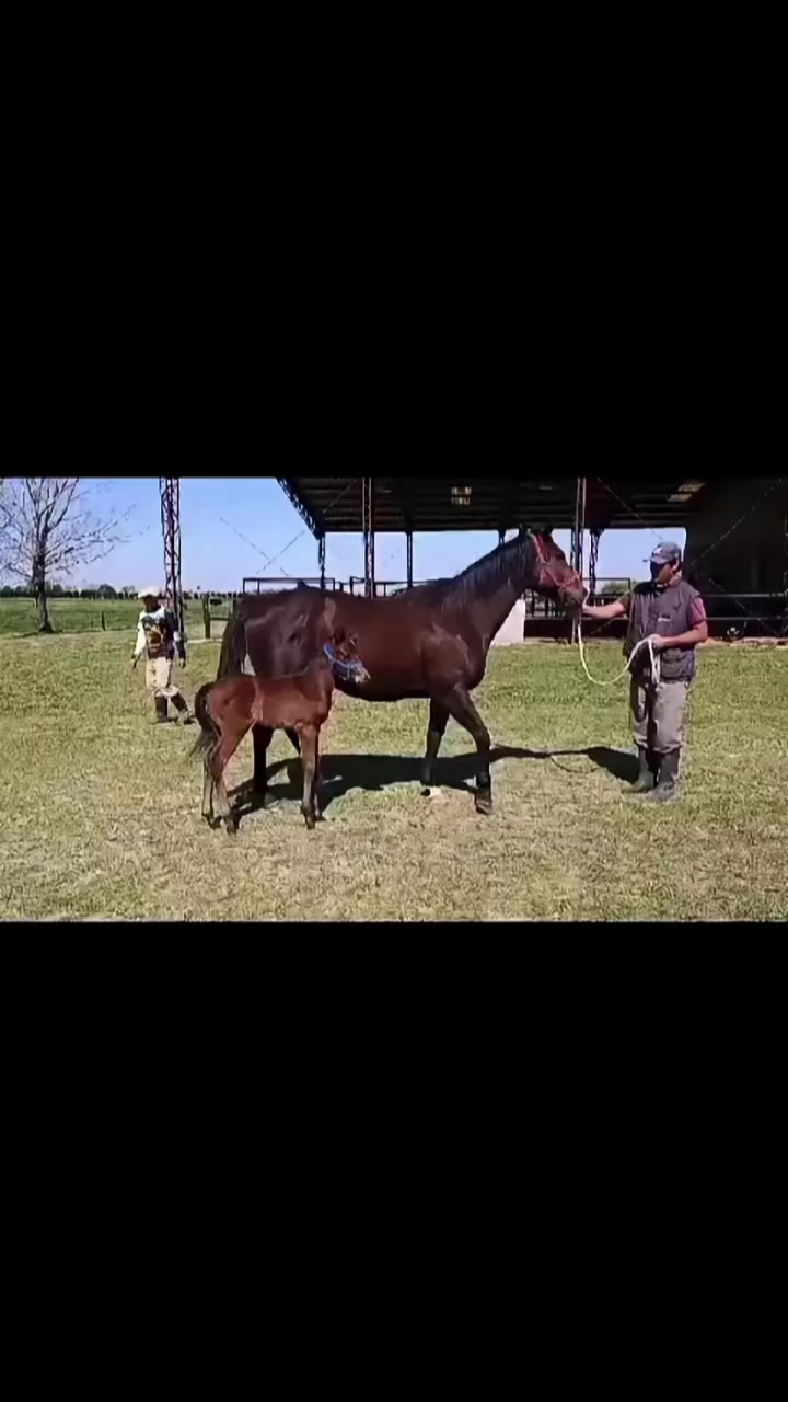 @zonaburrera.uy