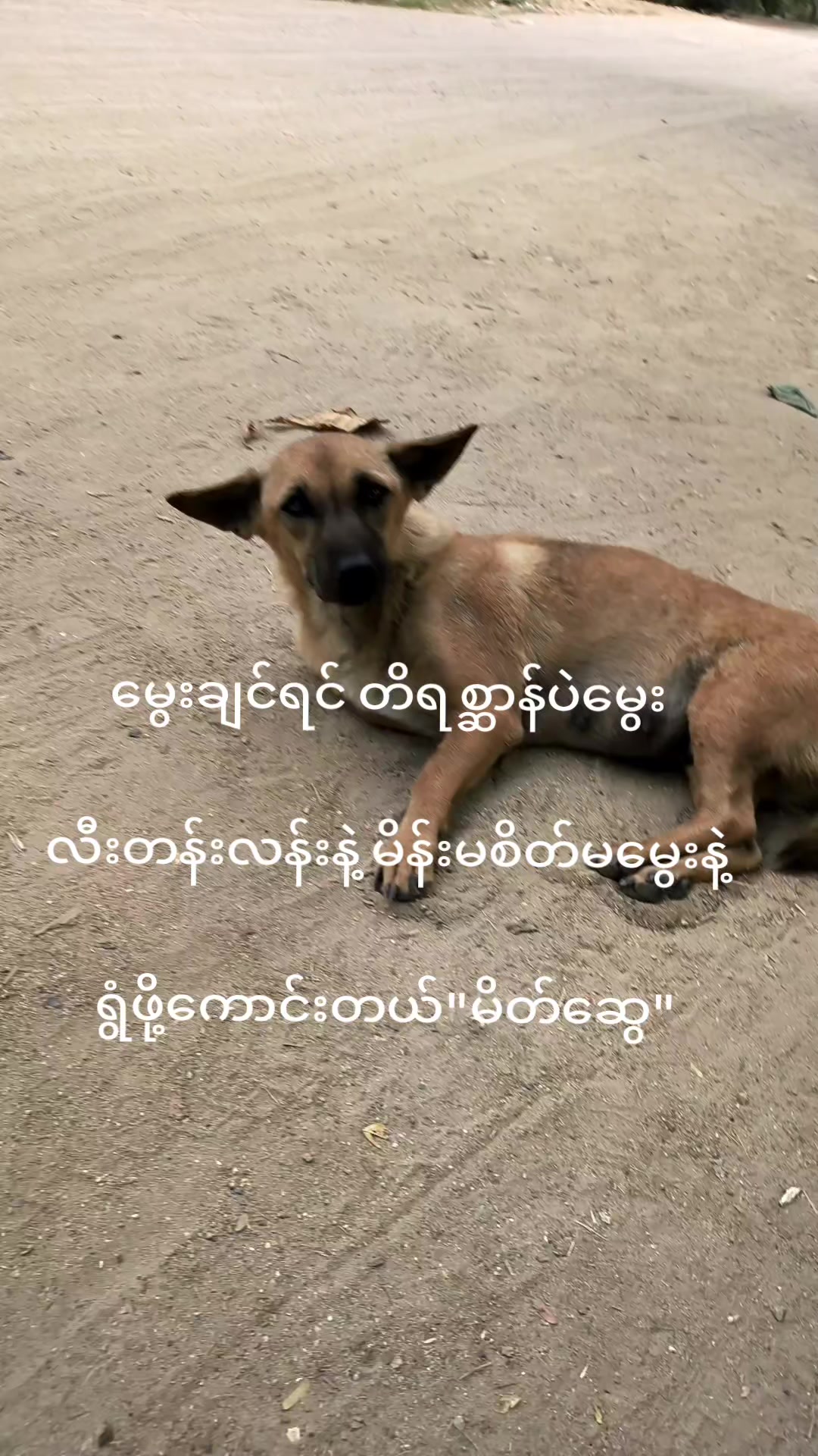 @သိမ်းငှက်🦅