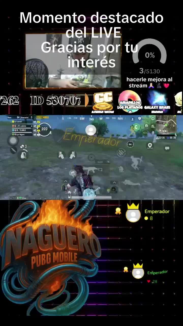 @Naguero pubg 23🐺