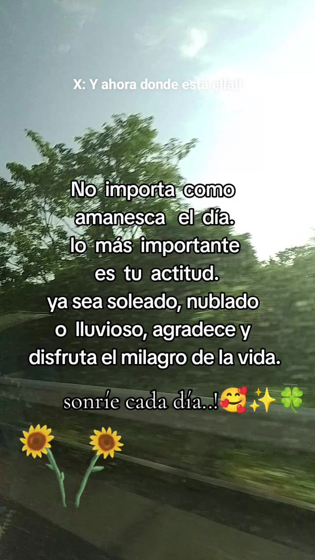 @chapisch1
