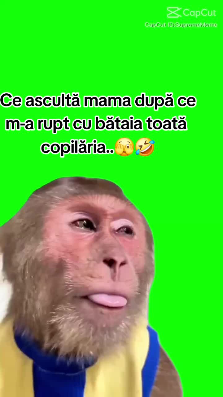 @Andrutza N.Andrutza