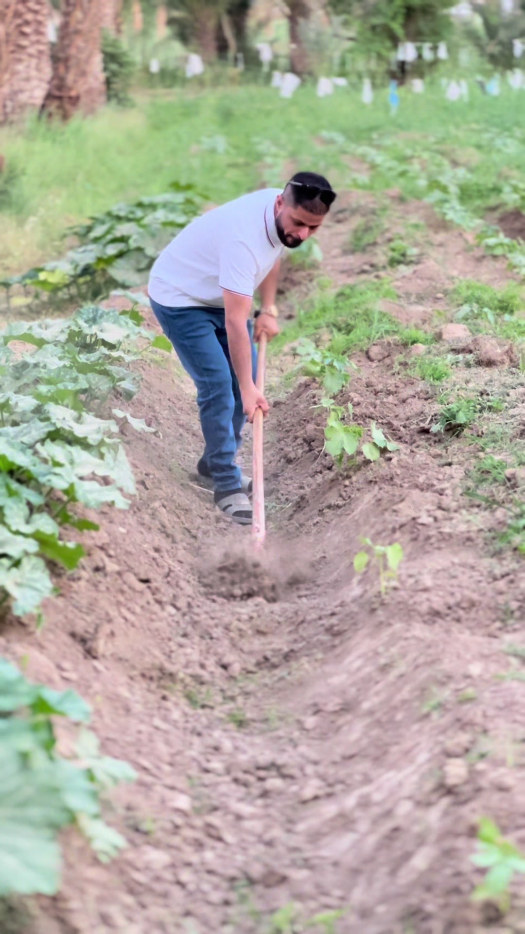 @وسام الجبوري