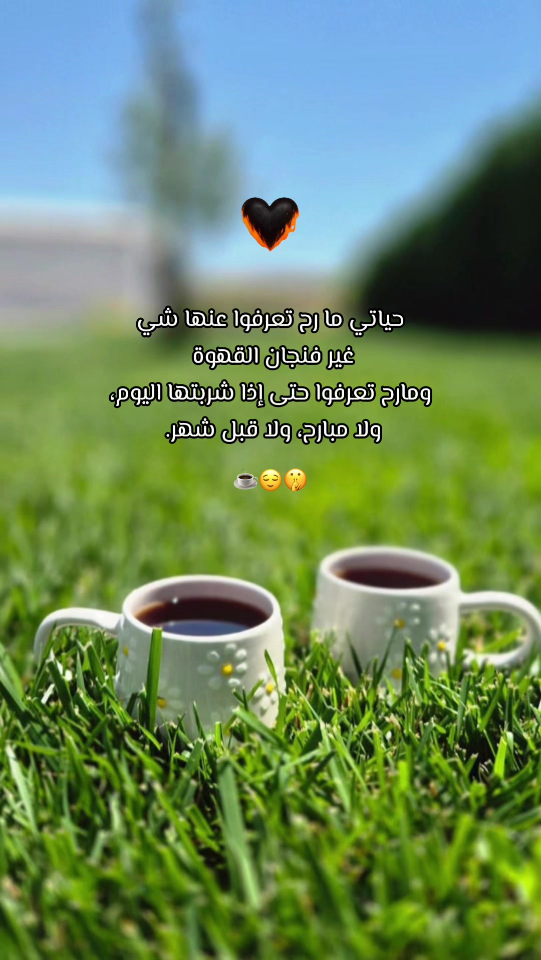 @༊෴✿سہارة✿〄
