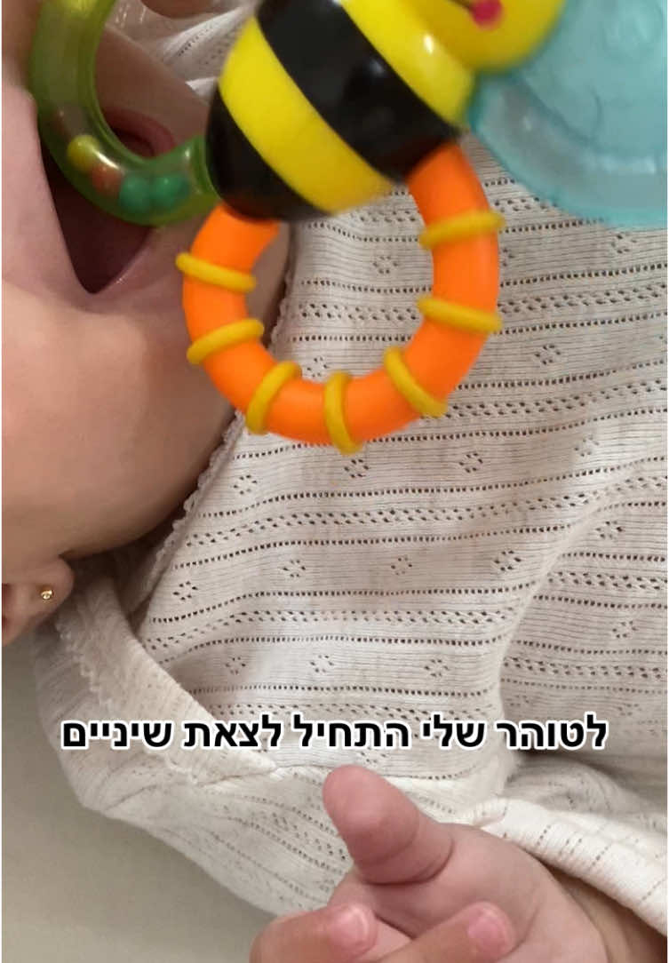 @מאי ארביב