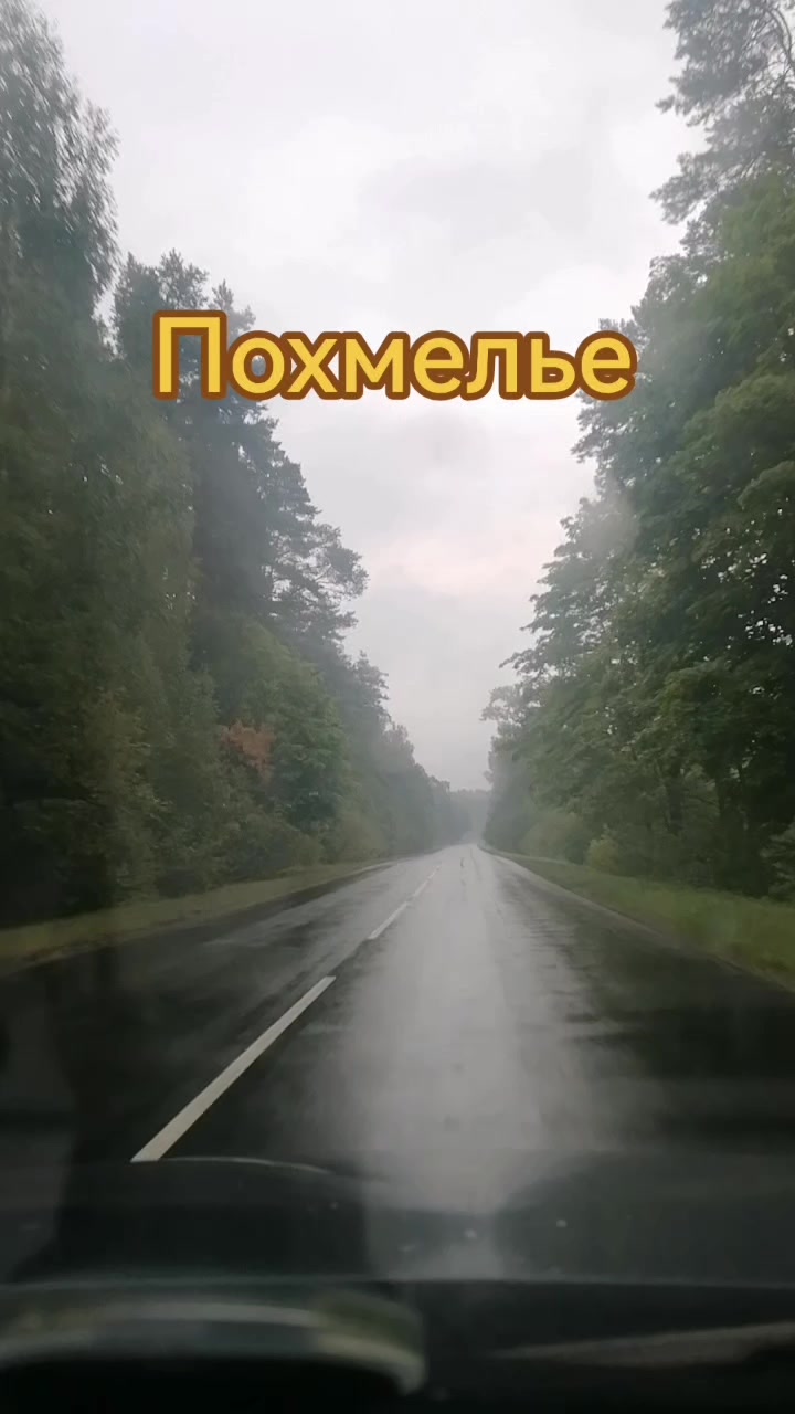 @seregabos