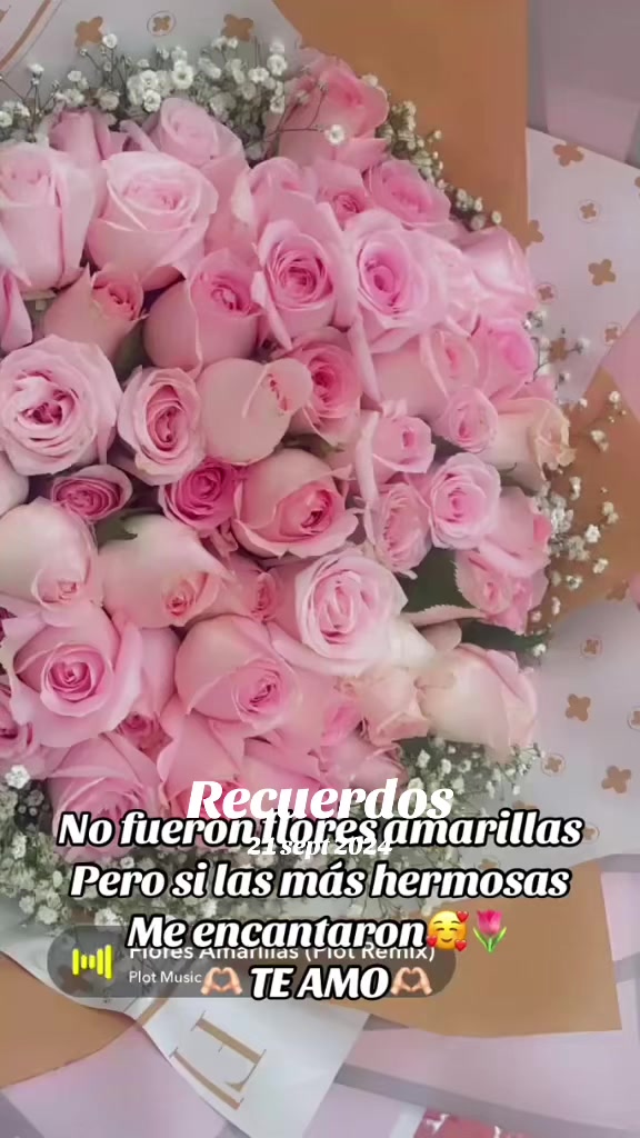 @°NeNa MeJiA°