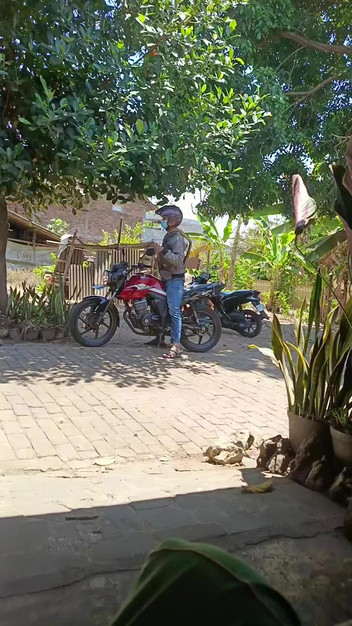 @aliftomy terompetcicada