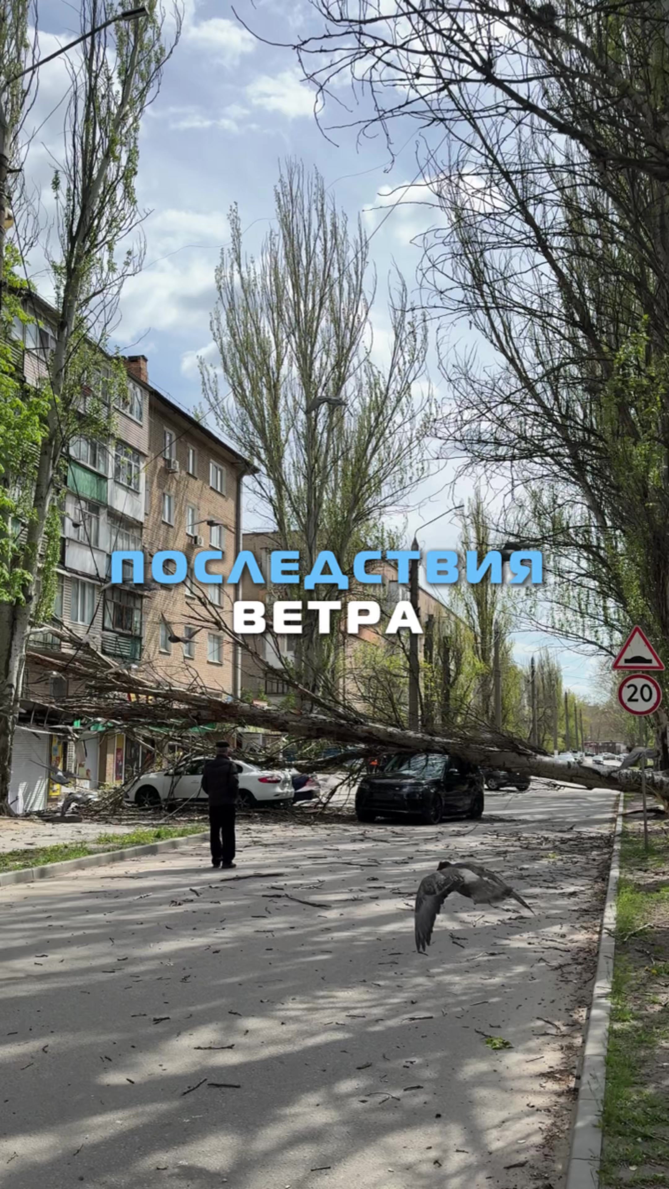 @В ОБЪЕКТИВЕ У ВЛАДОСА 📸