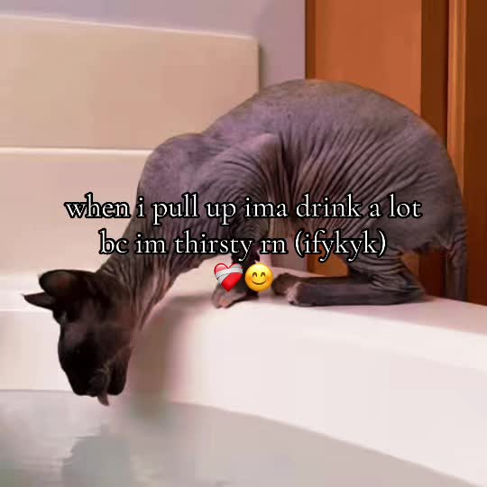 @vrodie4244