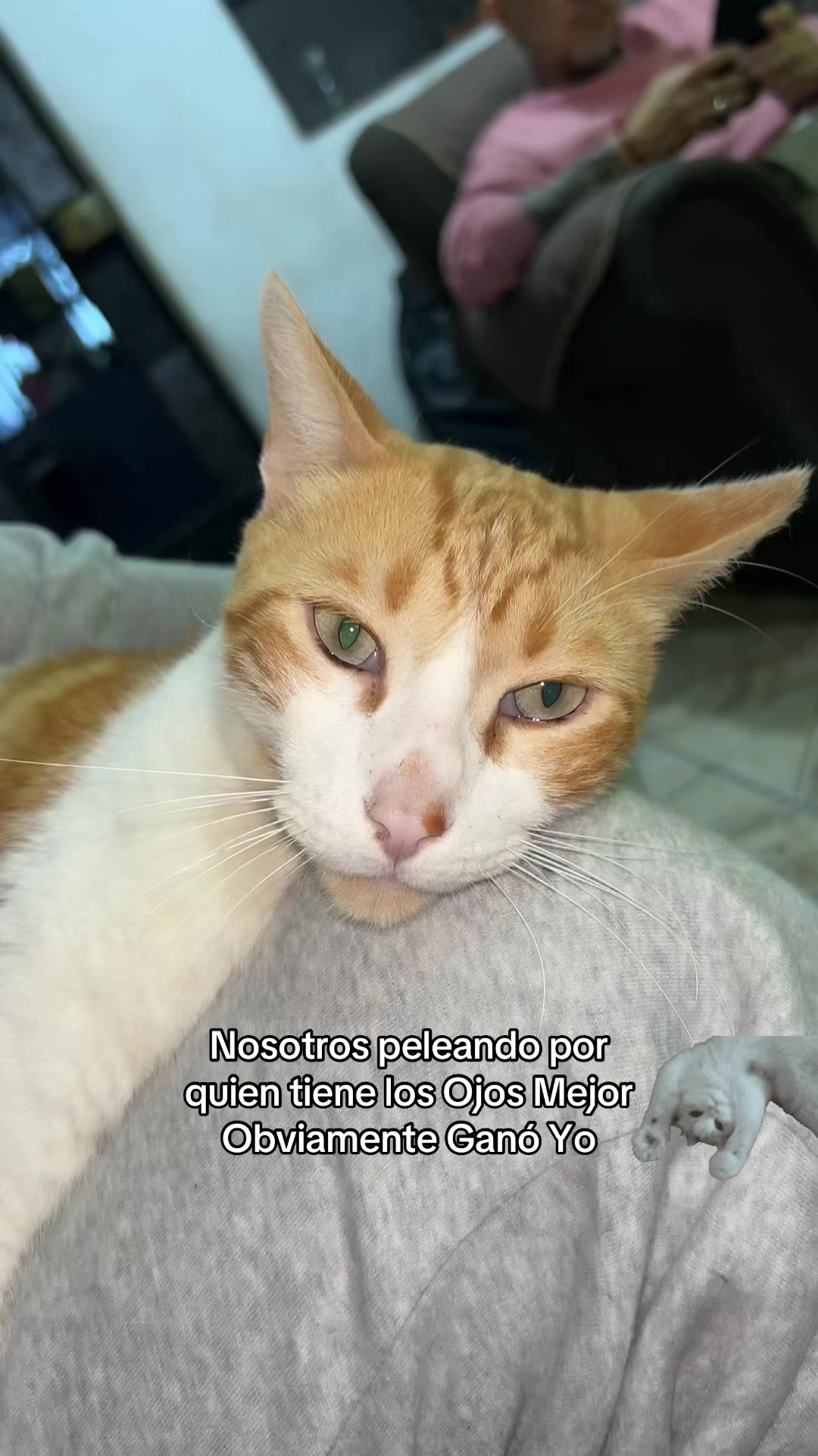 @Raul Casanova