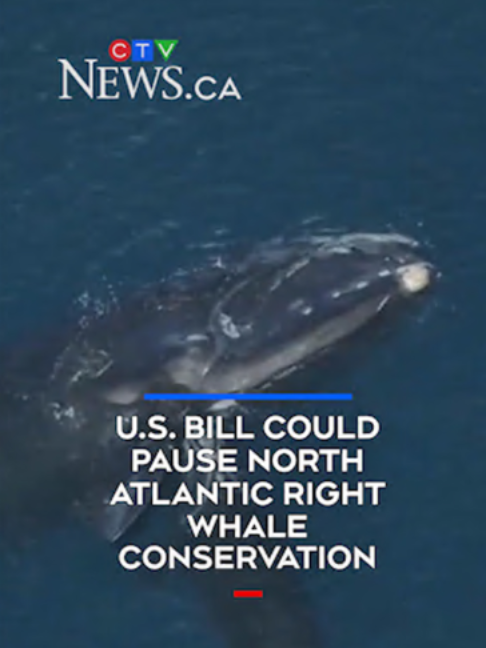 @CTVNews