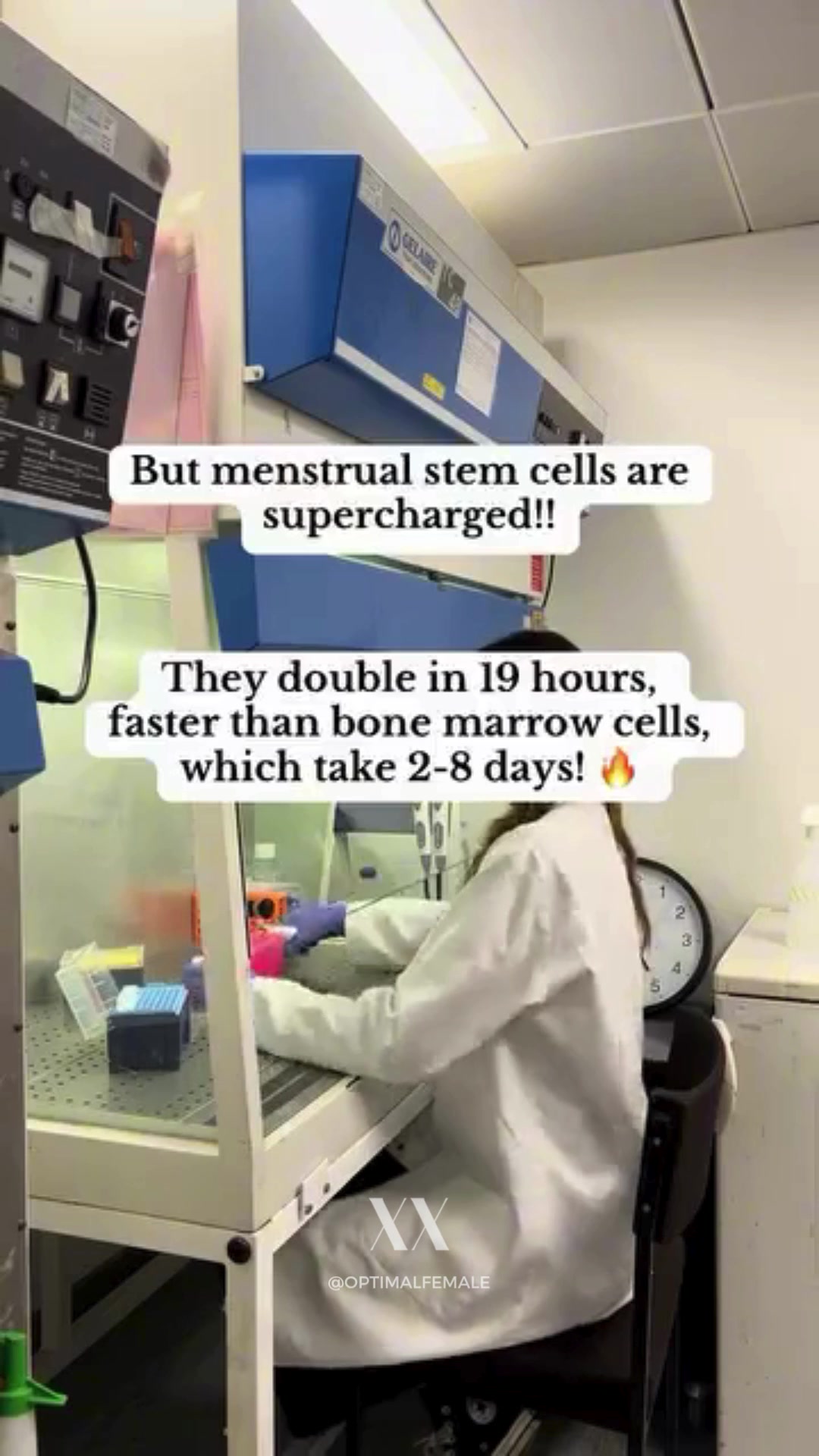 @The Optimal Female