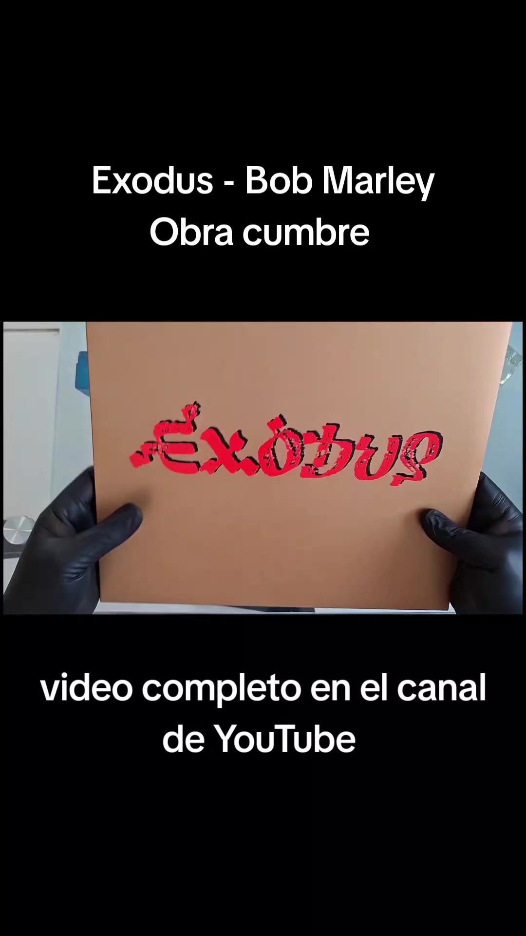 @Vinilo Con Estilo