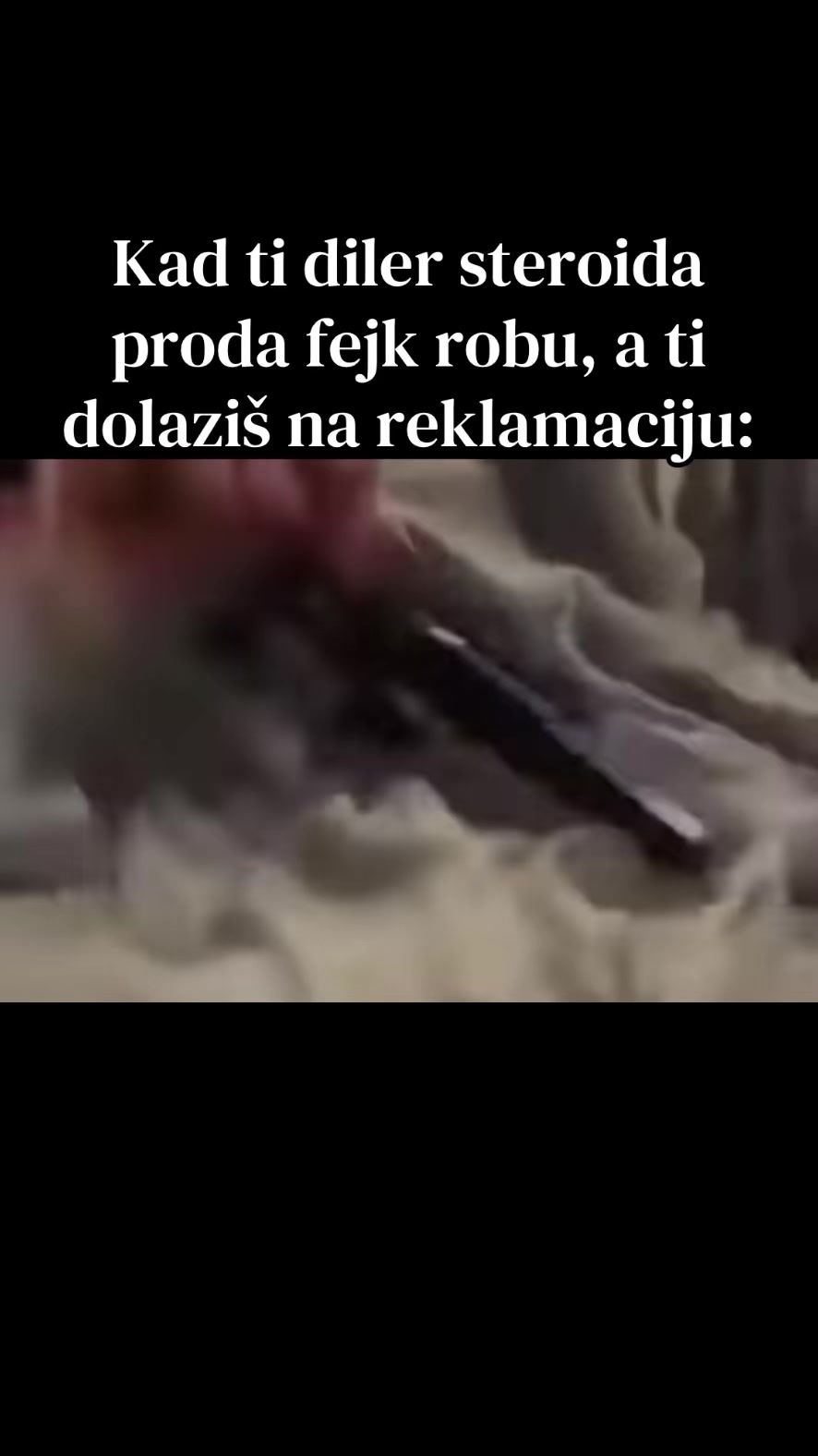 @balkan_bodybuilding