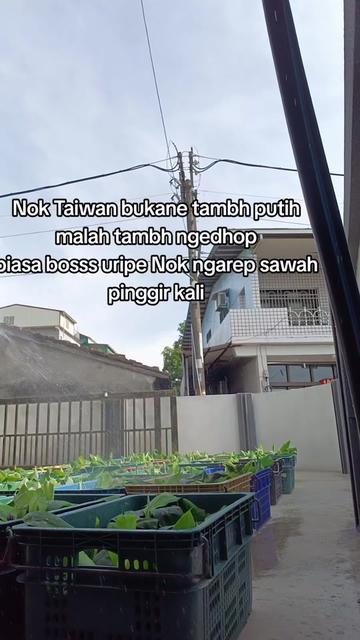 @๐๐ข๐ฆ~โ๐๐ค๐