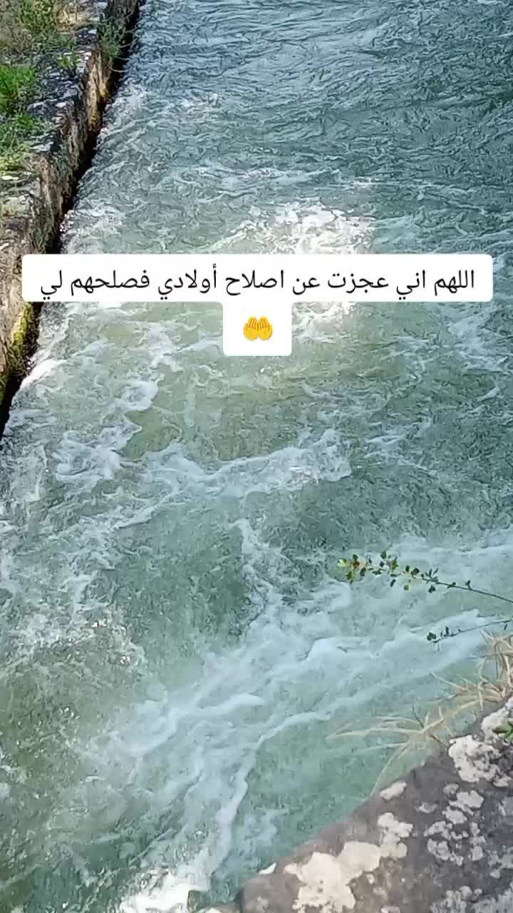 @jasmin Mirage