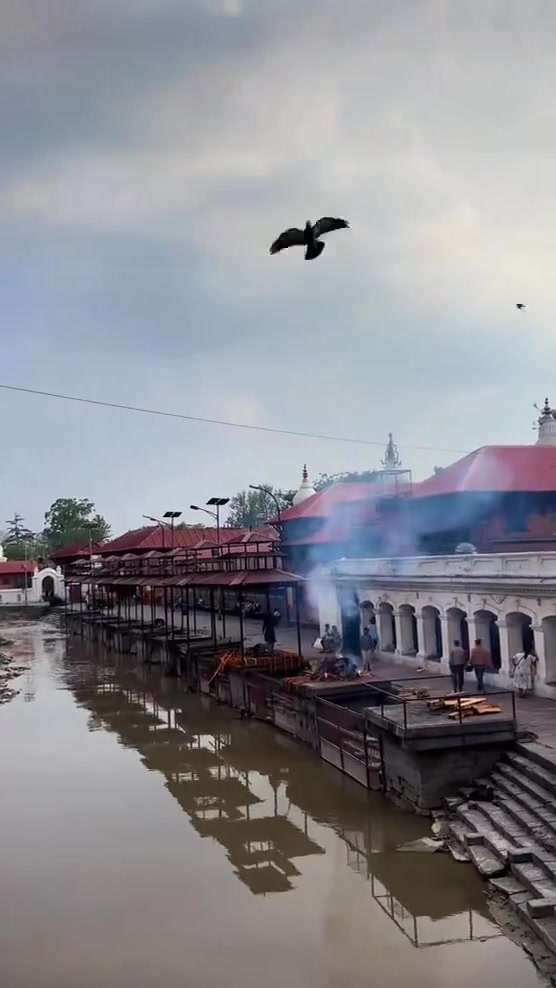 @शना महर्जन (サナ)