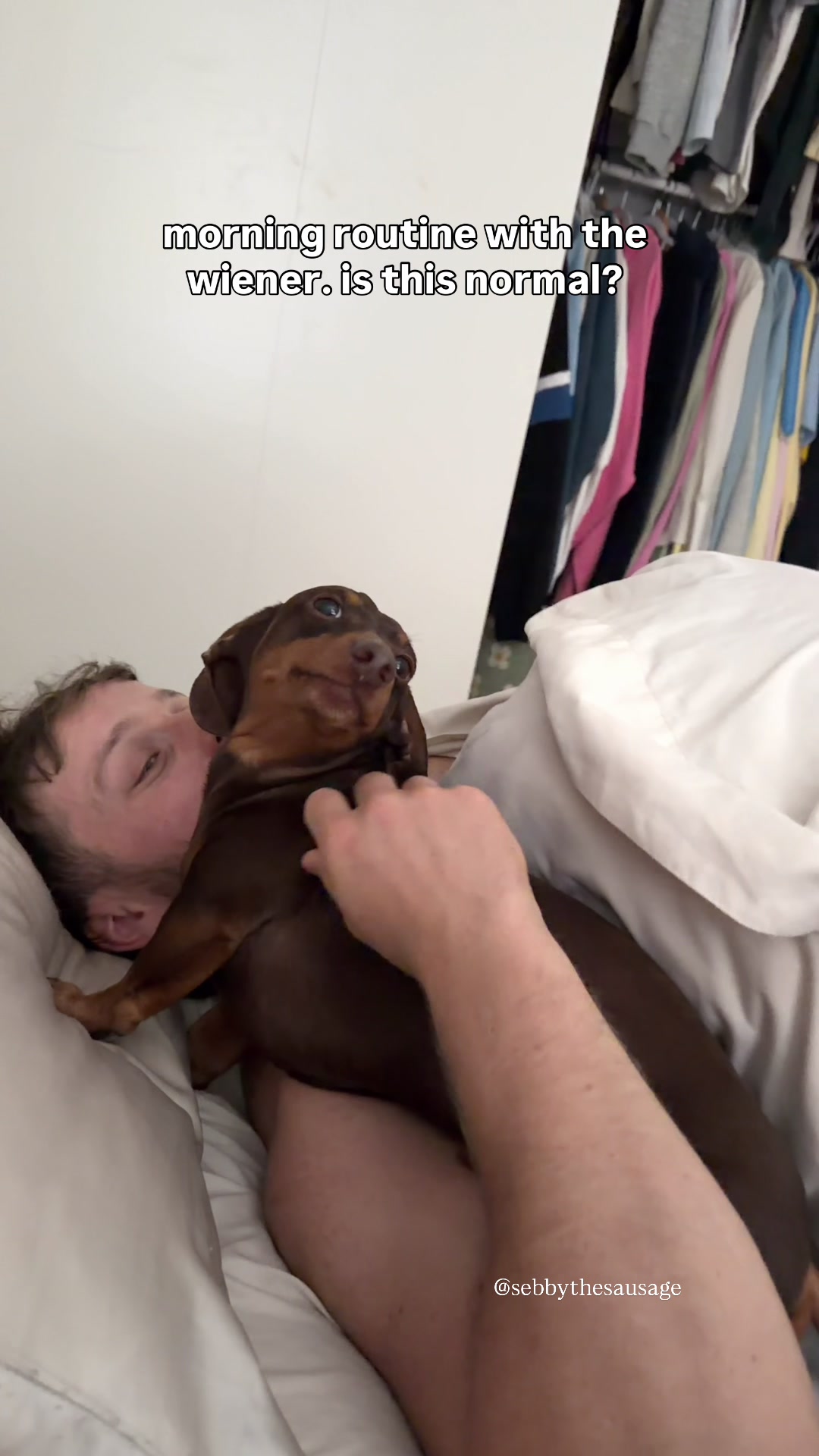 @sebbythesausage