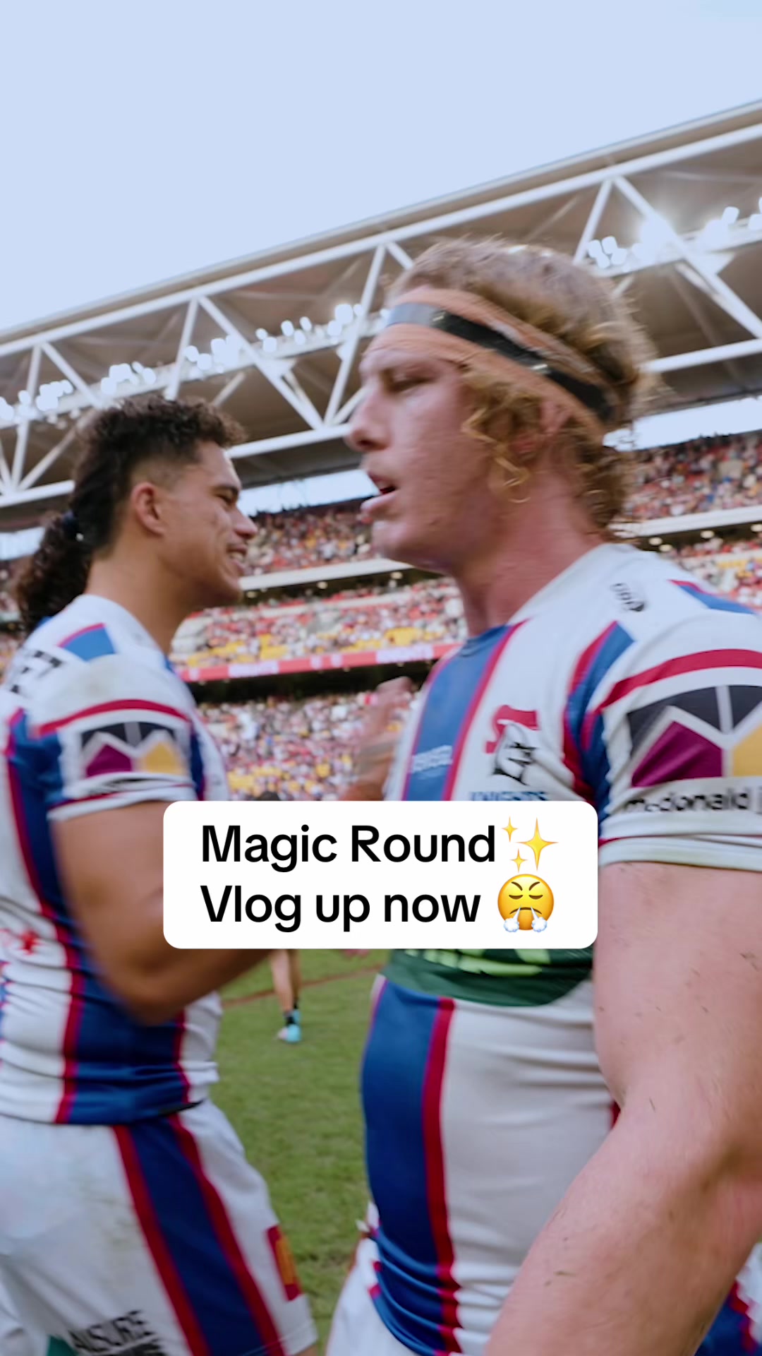 @Newcastle Knights