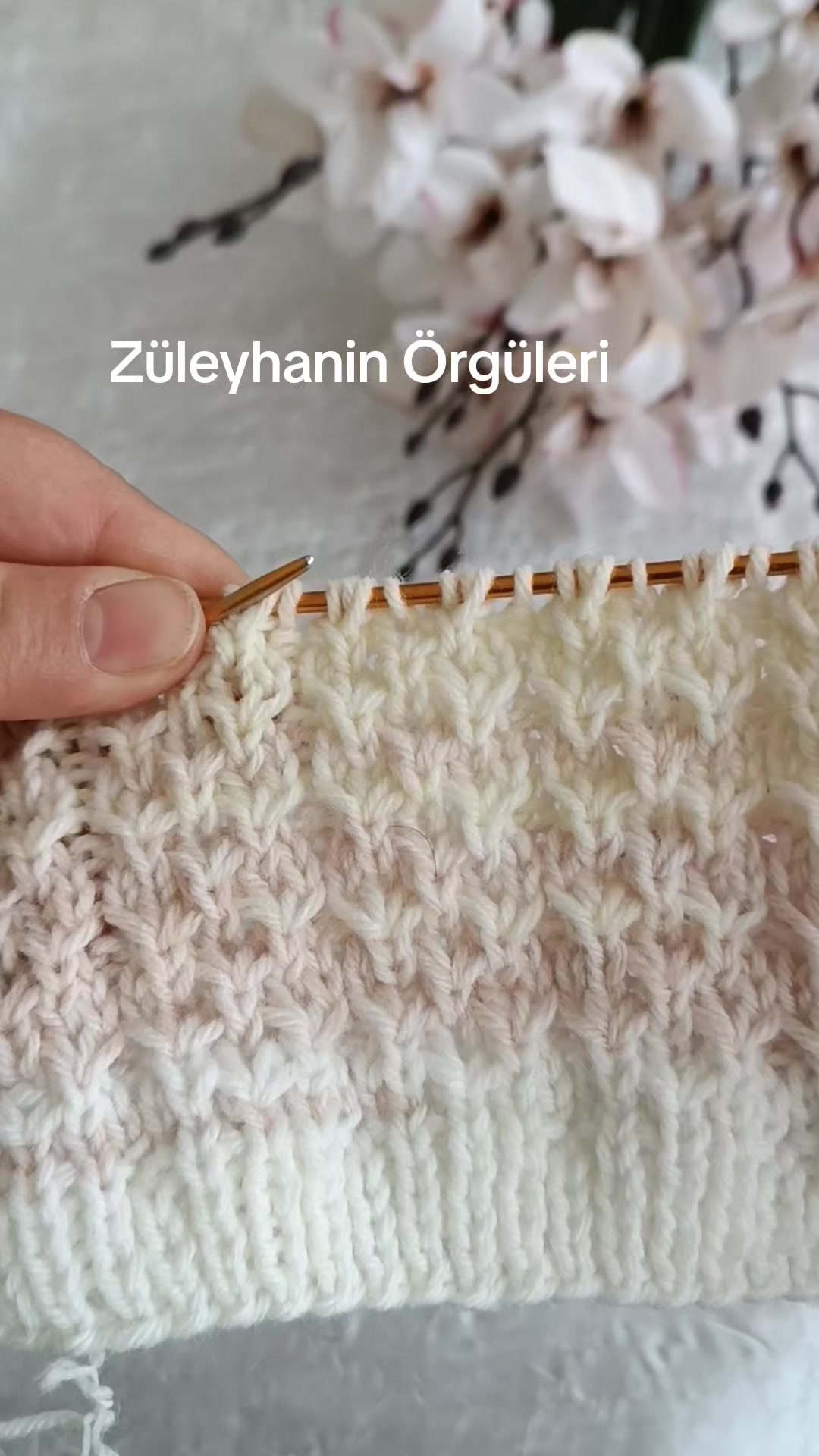 @Z&uuml;leyhanın &Ouml;rg&uuml;leri