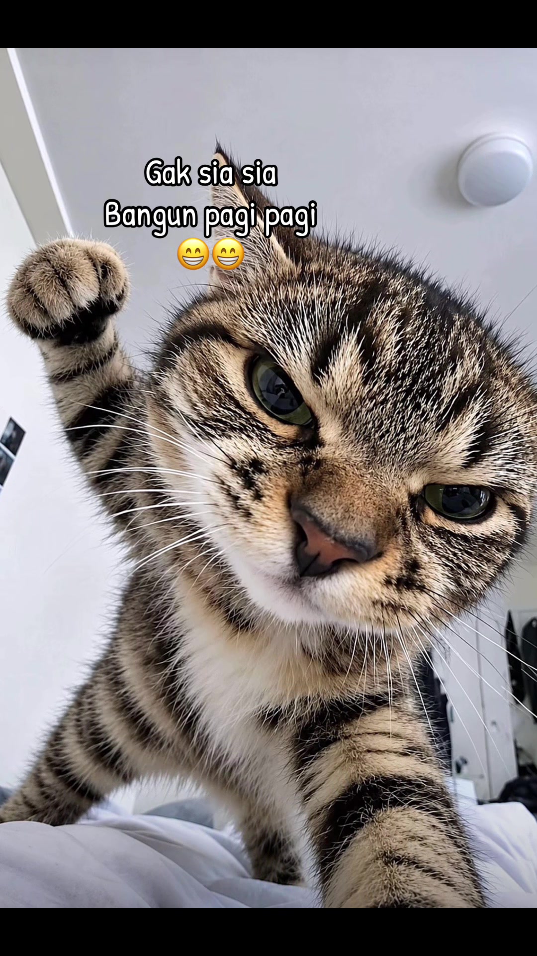 @Siapa aku