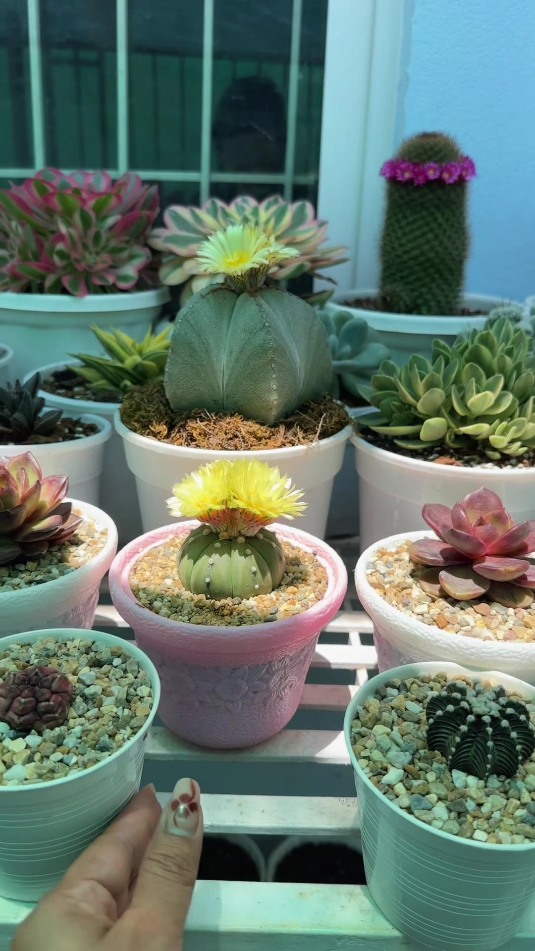 @Plantlife50