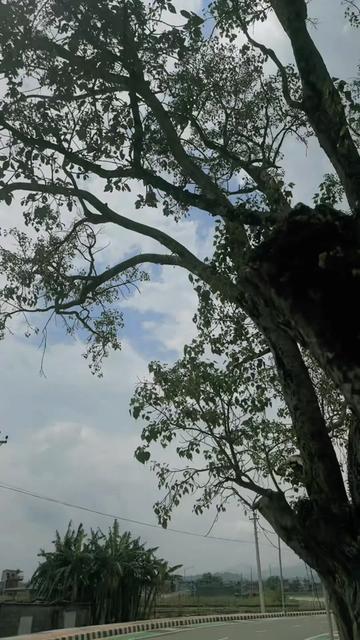 @बज्यै आमा.🥰