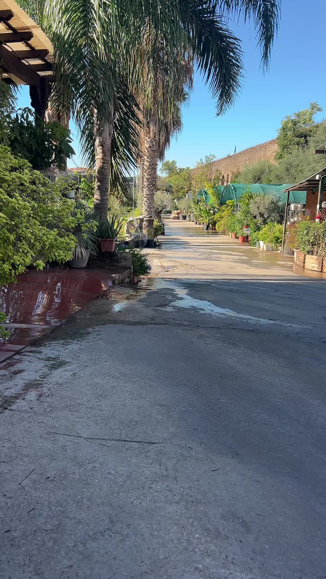 @vivaioanticogarden