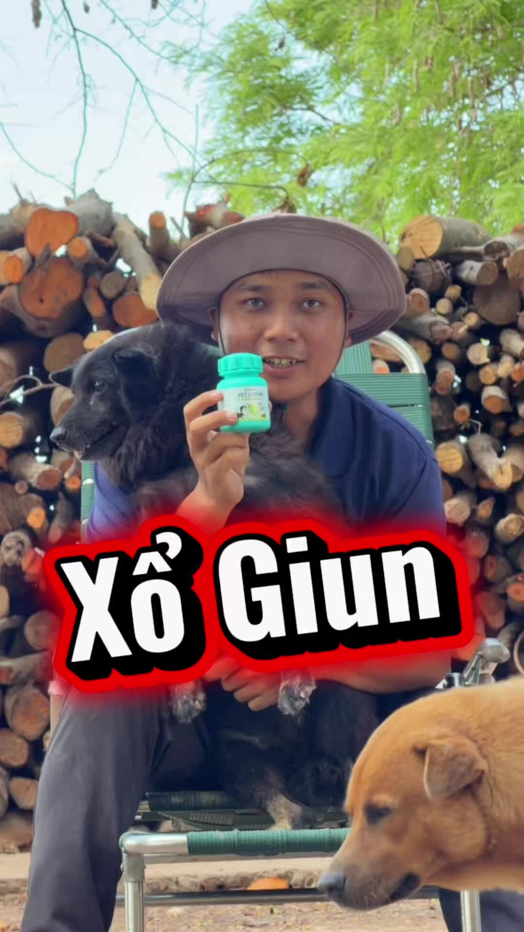 @Tâm Chó Cỏ 🦮