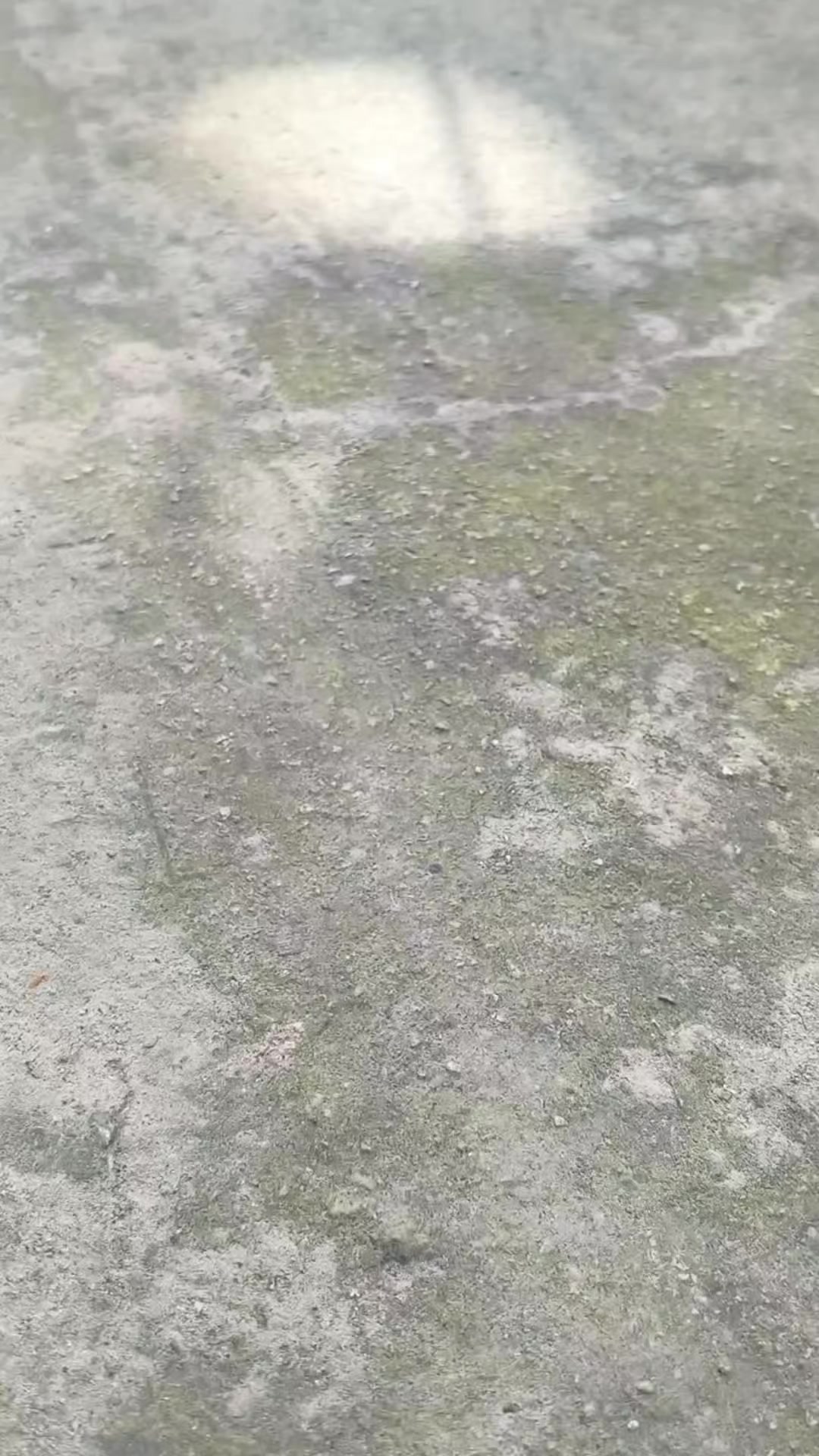 @𝙂𝙈𝙓 𝙂𝘼𝙍𝘼𝙂𝙀👽