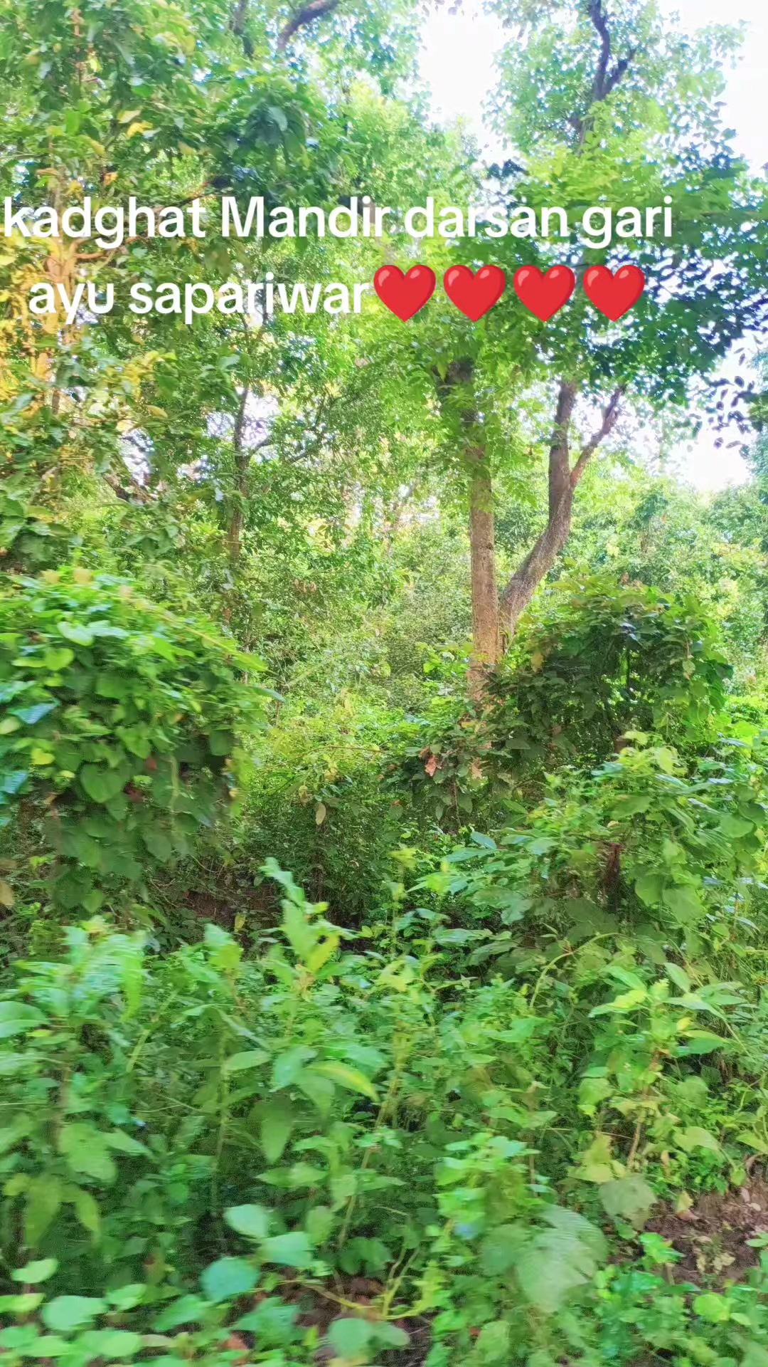 @Bimala_AD