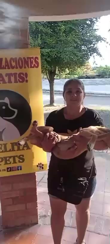 @BelitaPets