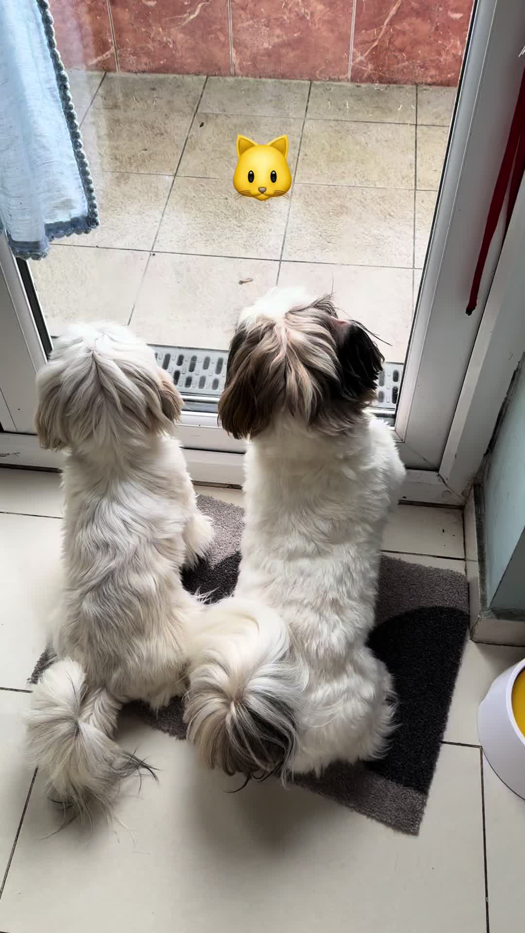 @visaandmomo