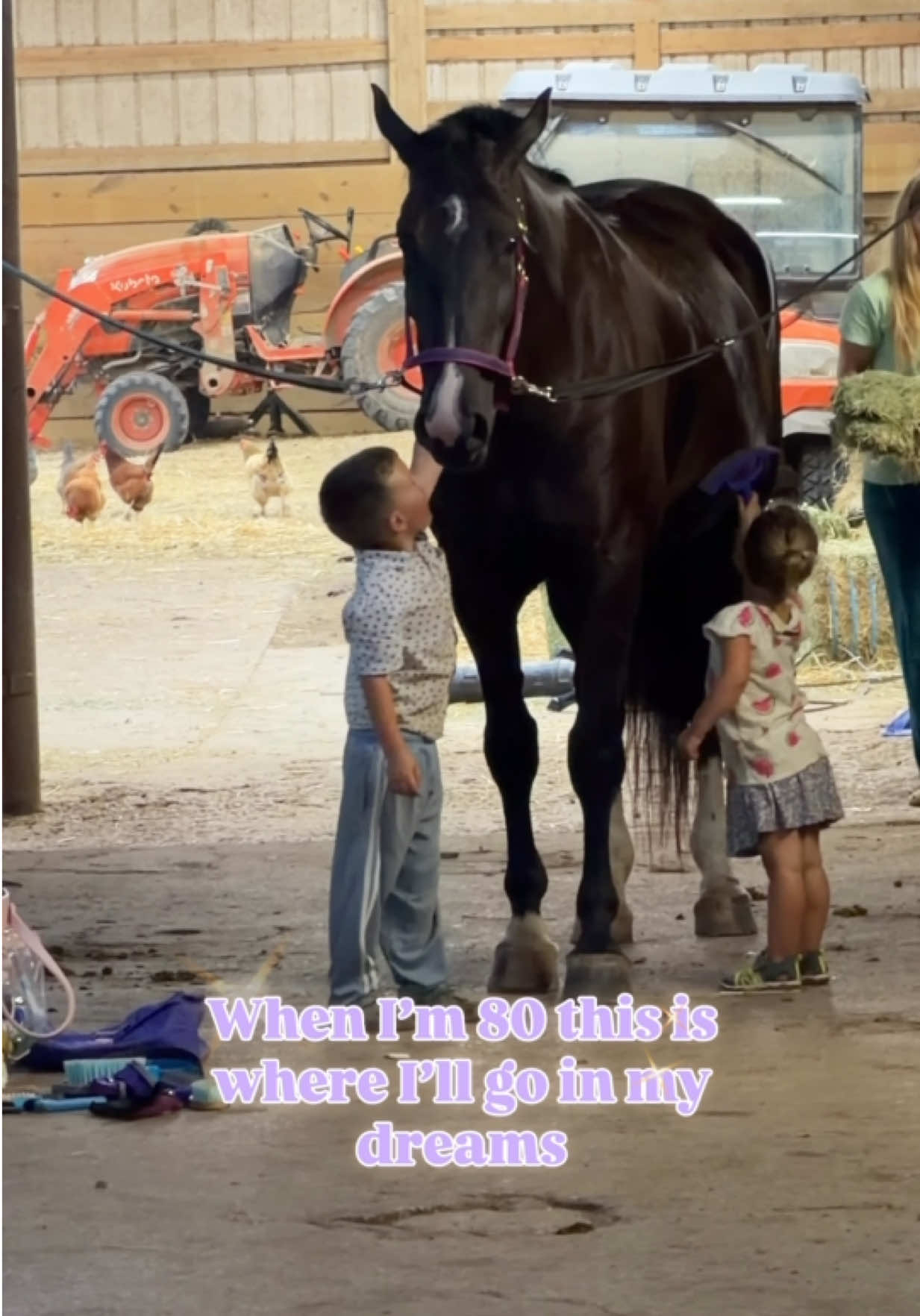 @Maria💜| Equestrian🦄