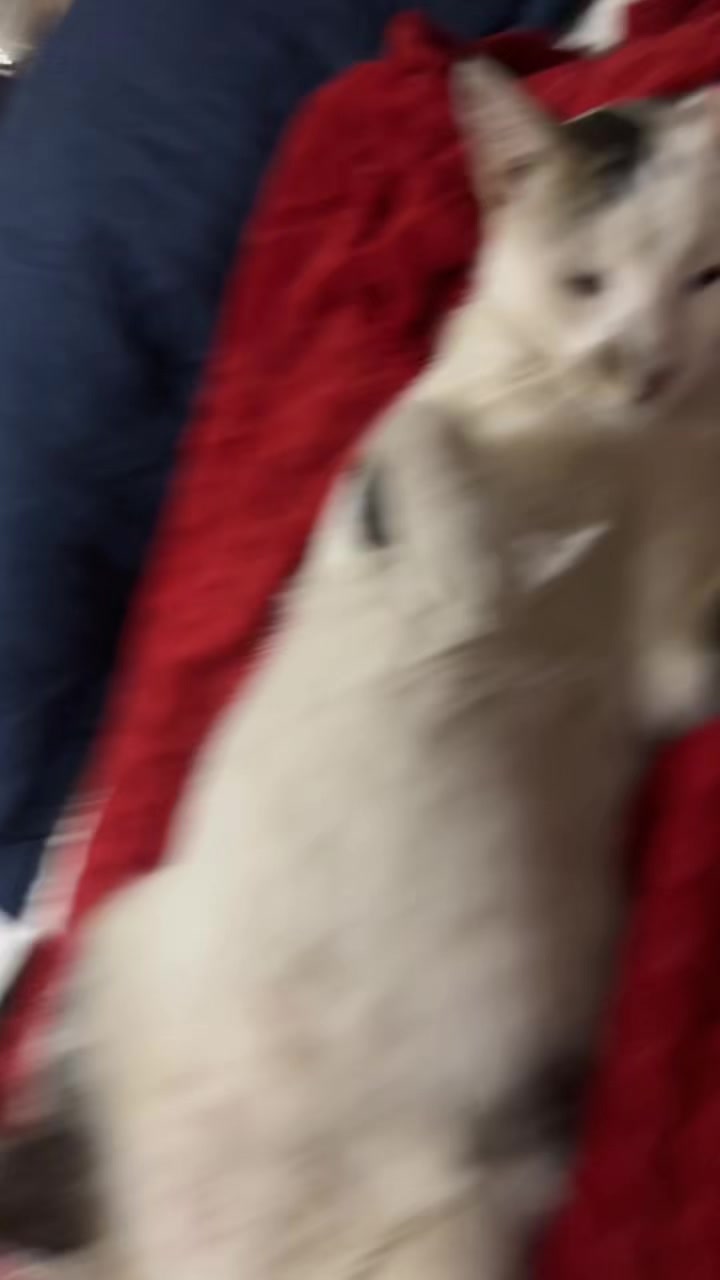 @Soukaina مينوش