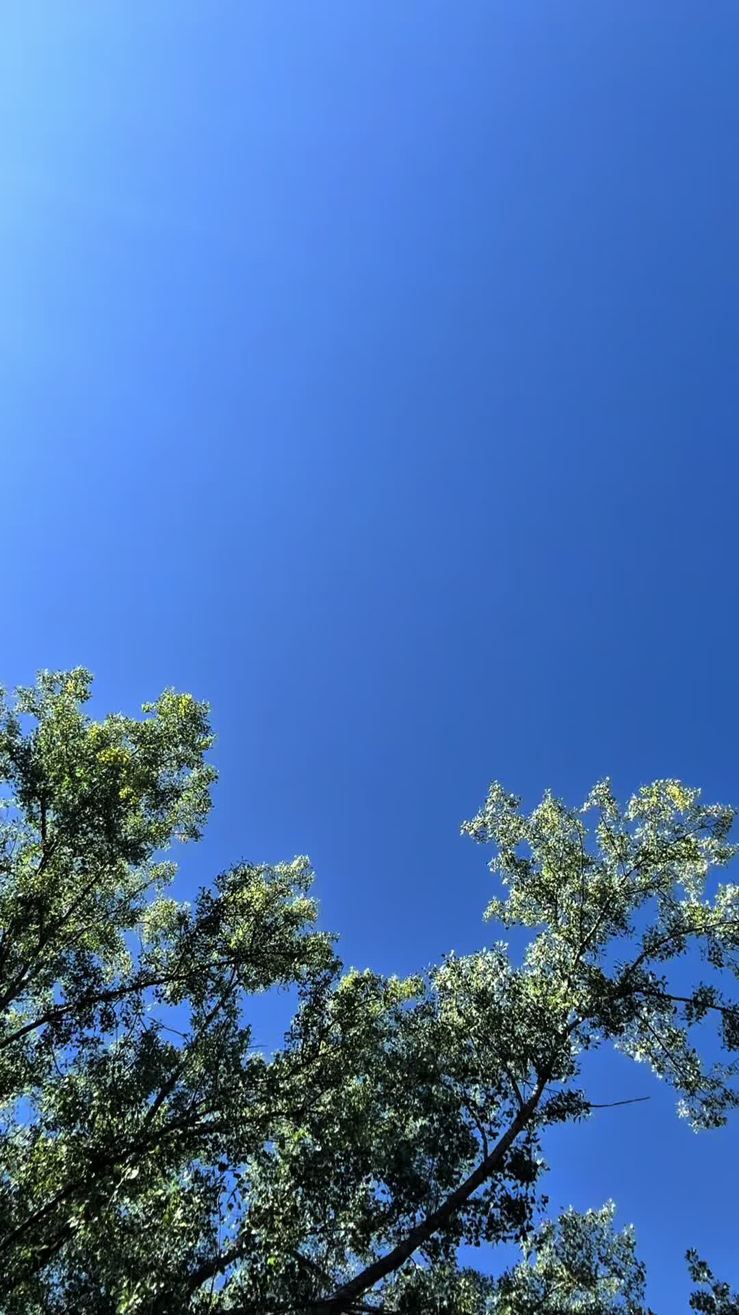 @Marc-Antoine Delage