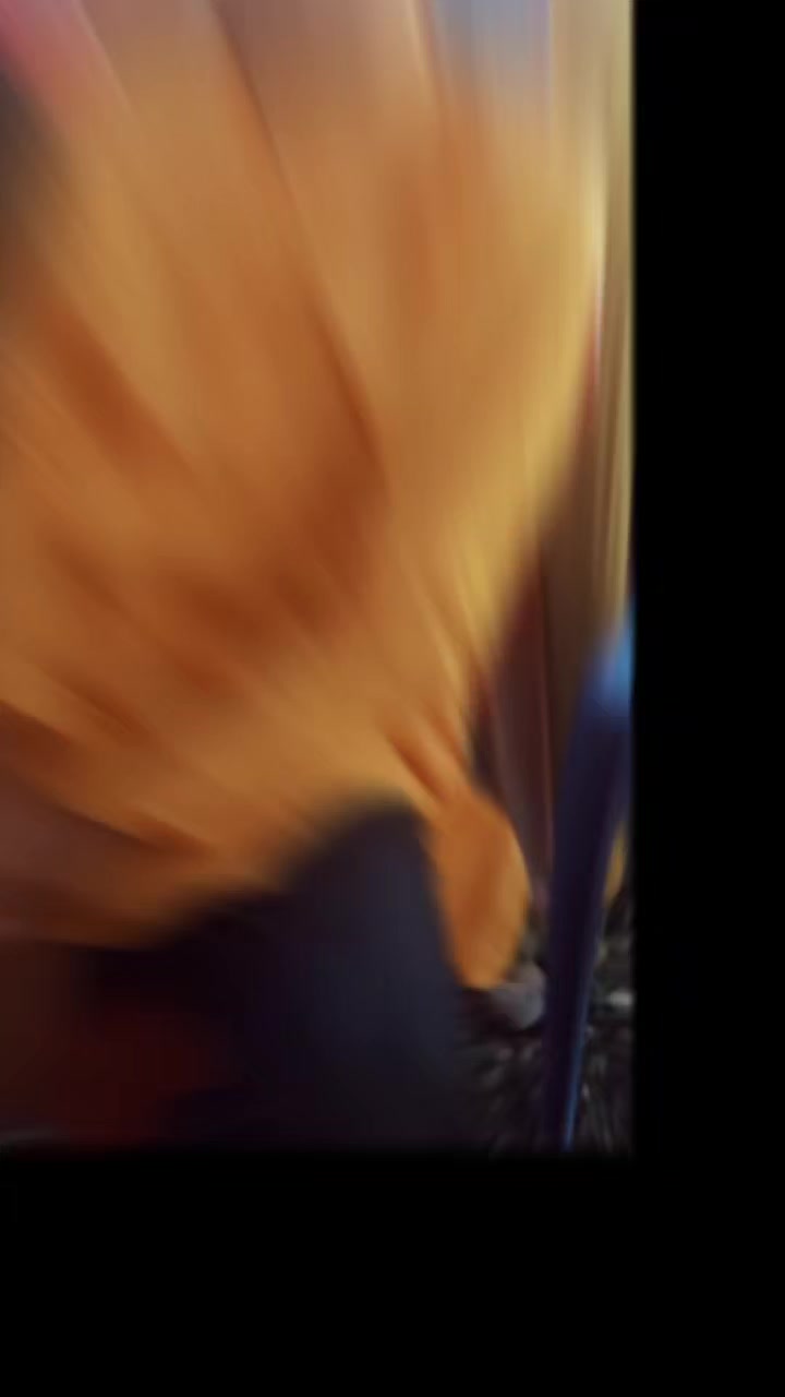 @111@1111