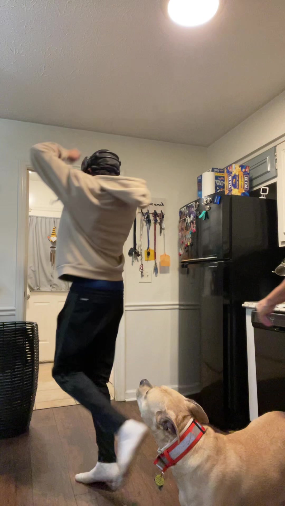@z5