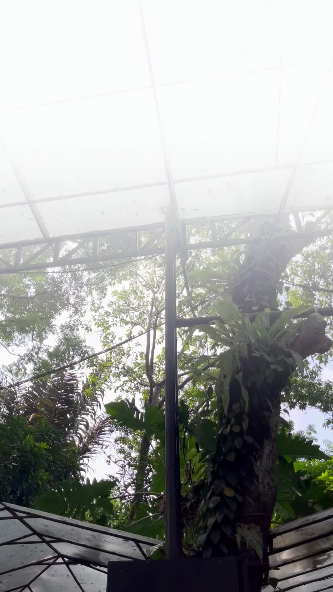 @THE WATERFALL RESTO & FISHING